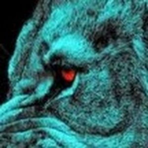 Meet your Posher, Garret